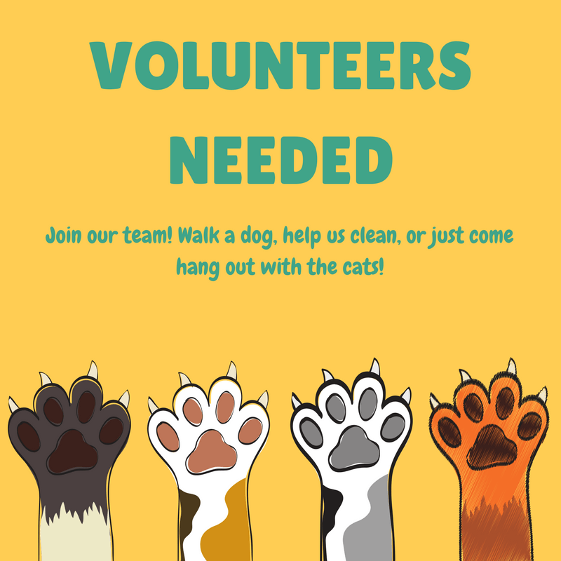 Volunteers wanted