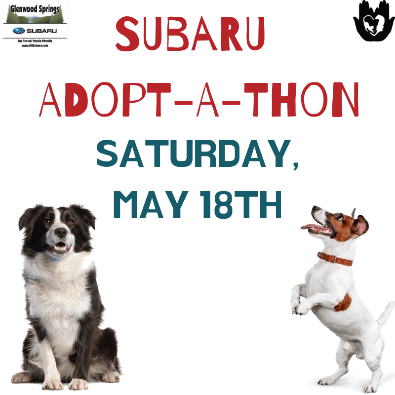 Subaru Adopt-A-Thon - Colorado Animal Rescue
