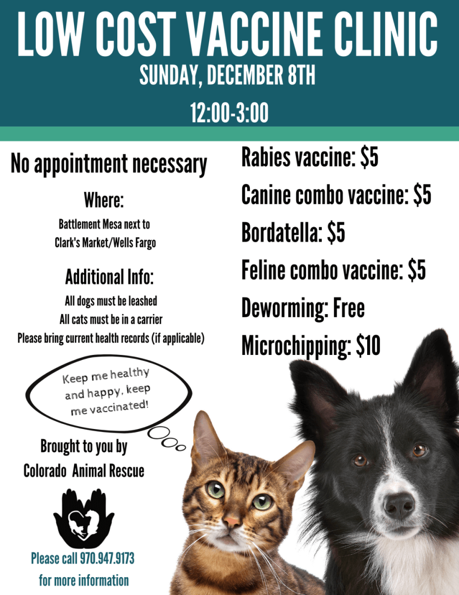 discount vet clinic near me