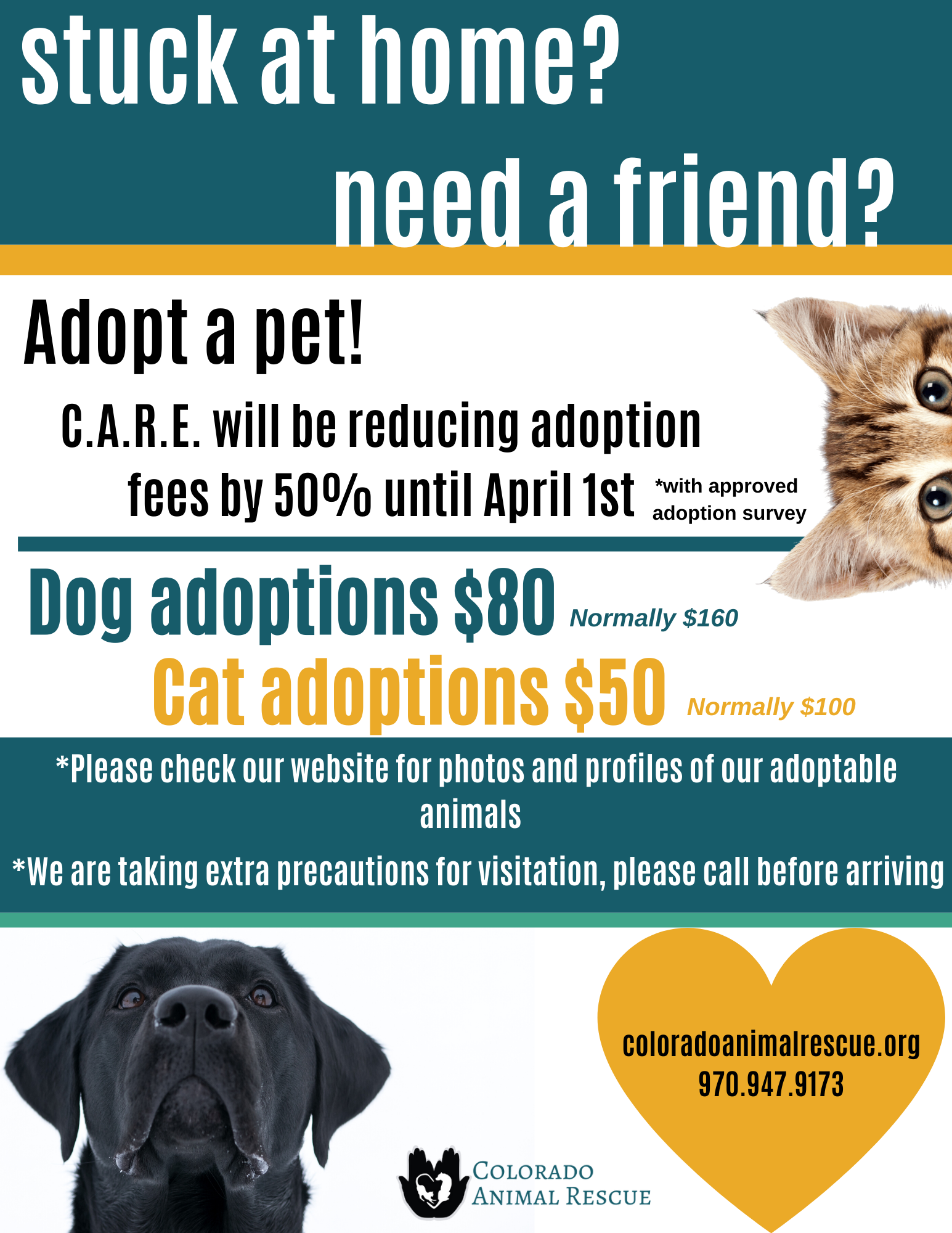 icab adoption fees icab adoption fees