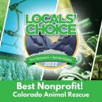Best Nonprofit!