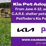 Kia Pet Adoption Event!