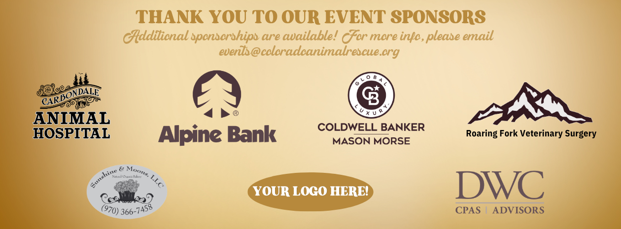 dtk9-2026-1260x465px-banners-1