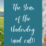 The Year of the Underdog (and Cat!)