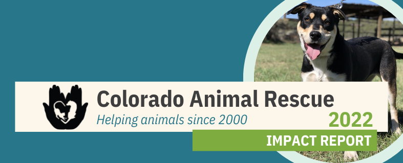 Blog - Colorado Animal Rescue