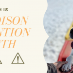 March is Pet Poison Prevention Month!