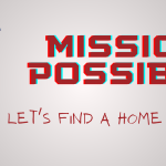 Mission: Possible! Let’s Find A Home For Theo!