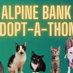 RECAP: Alpine Bank Adopt-A-Thon!