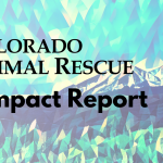 2024 C.A.R.E. Impact Report