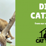 How To Build Your Own Catio (For DIY Enthusiasts)