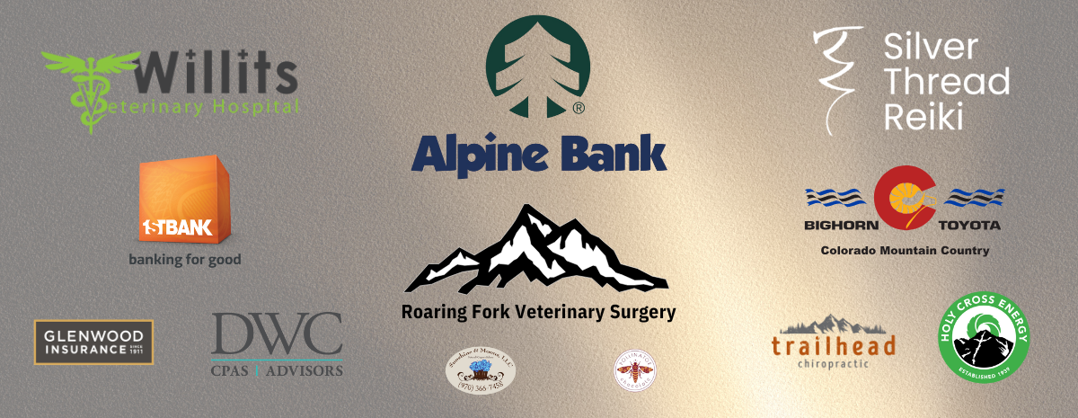 dtk9-2025-sponsors-for-website-page-2