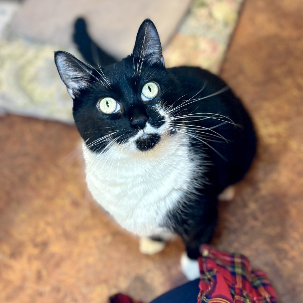 633e63a8bea29702bec2d64269262deb