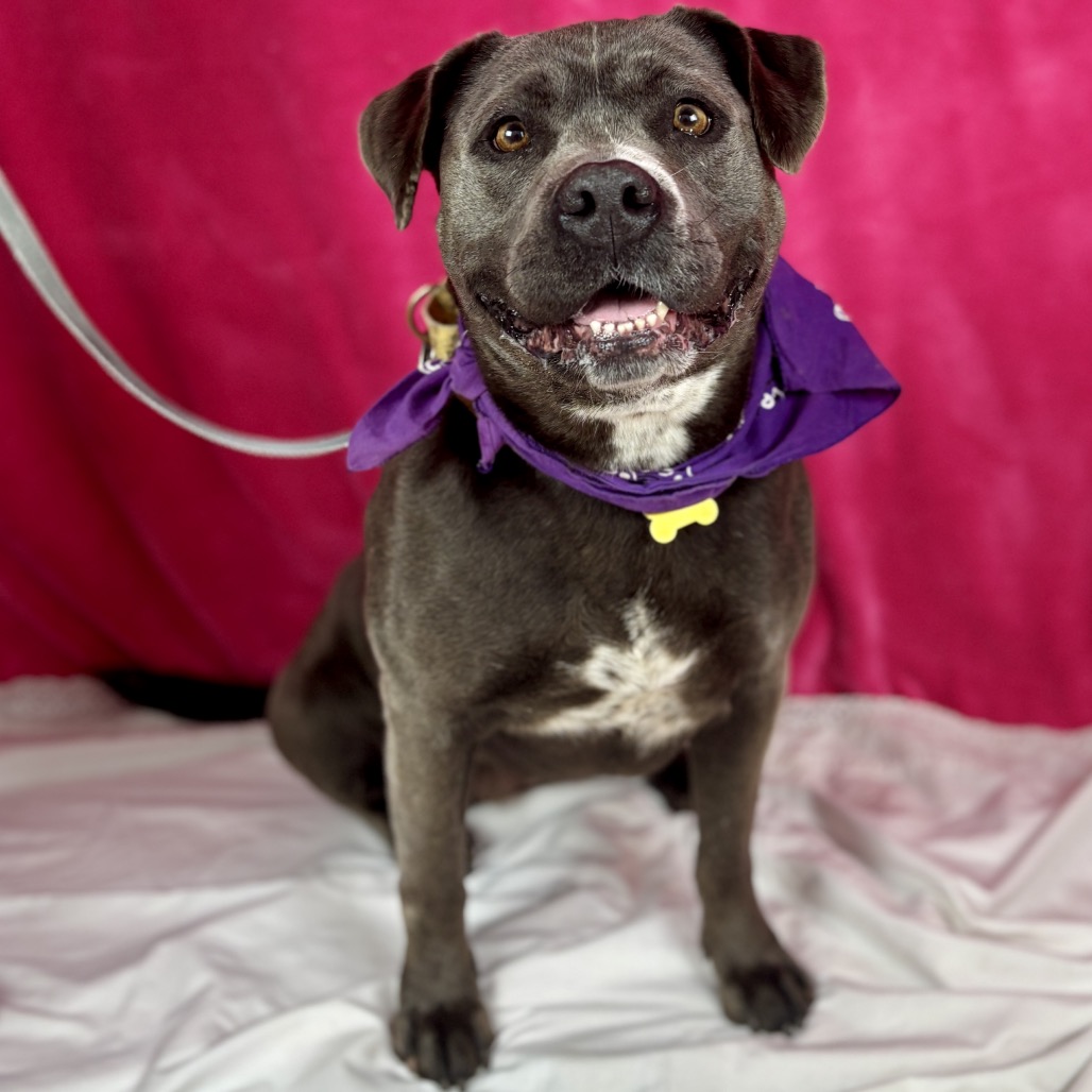 7d03185a6e389de78665498486d8e3bc