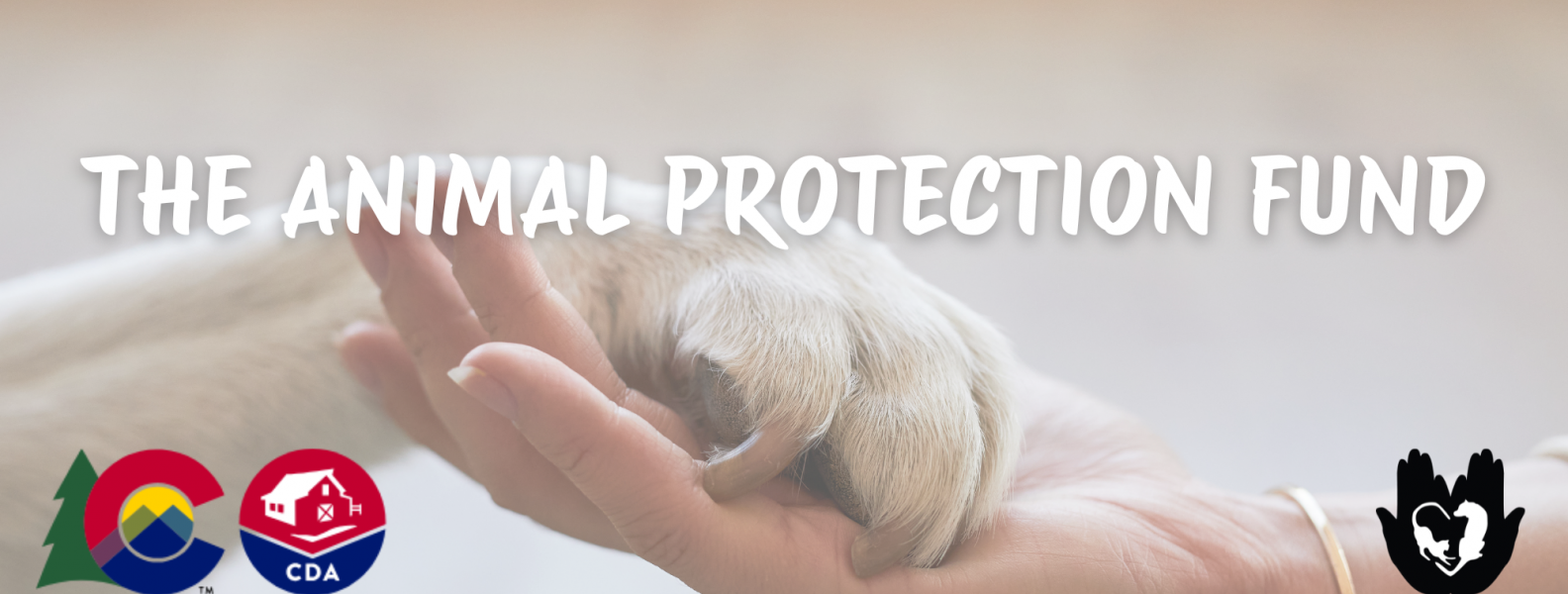 Do You Know About the Animal Protection Fund? - Colorado Animal Rescue