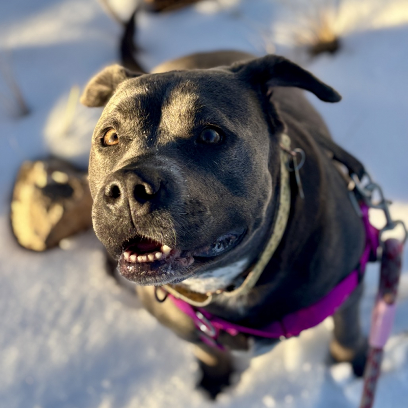 5843be2b609f8c68a86dfda068a20b76