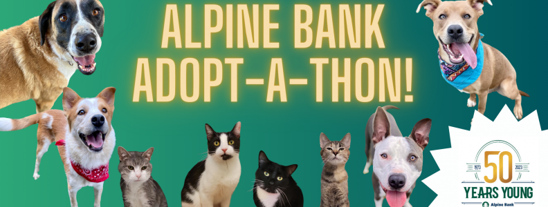 RECAP: Alpine Bank Adopt-A-Thon!