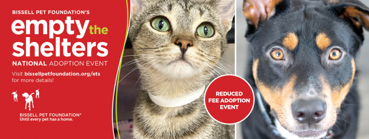 Empty the Shelters! - Colorado Animal Rescue Empty the Shelters! - Colorado Animal Rescue