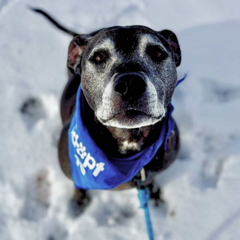 Processed with VSCO with v5 preset