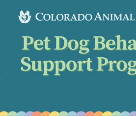 NEW! C.A.R.E.’s Pet Dog Behavior Support Program