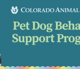 NEW! C.A.R.E.’s Pet Dog Behavior Support Program